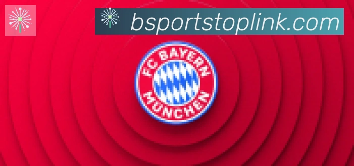 Bsports官网合作伙伴