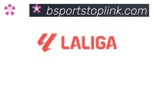 Bsports官网合作伙伴